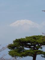 Heikowoen - Blick auf den Fuji