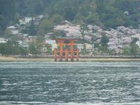 Insel Miyajima - Tori