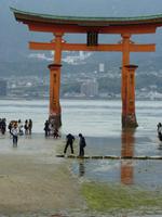 Insel Miyajima - Tori des Itsukushina-Schreins - fast Ebbe