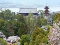 Insel Miyajima - Itsukushina-Schrein