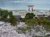Insel Miyajima - Itsukushina-Schrein