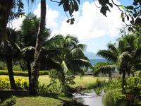 Im botanischen Garten