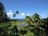 Im botanischen Garten