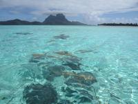 Haialarm vor Bora Bora