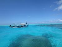 Zeit zum Schnorcheln