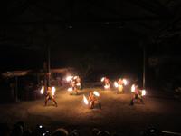 Show im Tiki Village