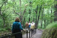 Zum Kirifuri Wasserfall