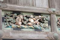 Nikko - Ausschnitt aus dem Kreislauf des Lebens