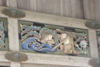 Nikko - Ausschnitt aus dem Kreislauf des Lebens