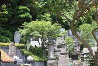 Hase-dera-Tempel Kamakura