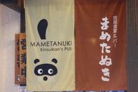 Japanische Marder (Martes melampus)