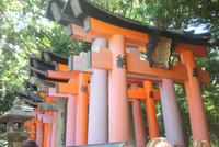 Kyoto Fushimi Inari-Taisha-Schrein