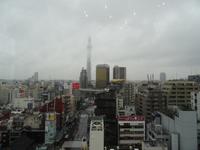 Skytree vom Hotel aus gesehen