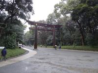 Torii am Meiji-Schrein