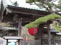Am Hasedera-Tempel