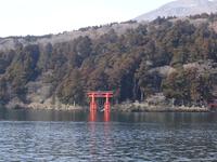 Torii am Ashi-See