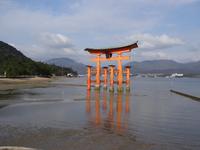 Insel Miyajima - Torii am Itsukushima-Schrein
