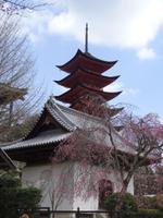 Insel Miyajima - Pagode