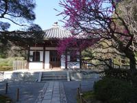 Kyoto - Ryoan-ji Schrein 