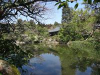 Kyoto - Ryoan-ji Schrein 