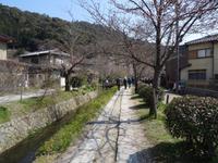 Kyoto - Philosophenweg