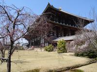 Nara - Todaiji-Tempelanlage