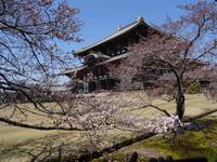 Nara - Todaiji-Tempelanlage