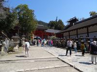 Nara - Kasuga-Taisha-Schrein
