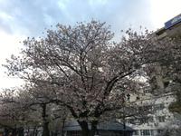 Fahrt mit der Metro vom Tokyo Skytree und Spaziergang zum Hotel