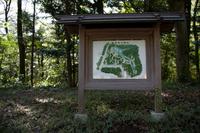 Besuch des Meiji Schrein in Tokio