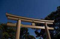 Besuch des Meiji Schrein in Tokio