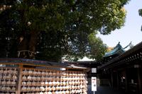 Besuch des Meiji Schrein in Tokio