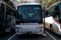 Besuch des Meiji Schrein in Tokio