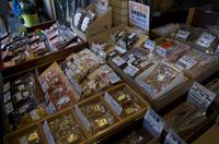 Besuch des Fischmarkts in Tokio