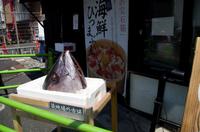 Besuch des Fischmarkts in Tokio