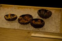 Besuch des Fischmarkts in Tokio