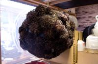 Besuch des Fischmarkts in Tokio