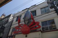 Besuch des Fischmarkts in Tokio