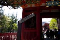 Spaziergang und Besuch des Tempels im Stadtteil Asakusa