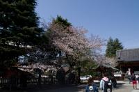 Spaziergang und Besuch des Tempels im Stadtteil Asakusa