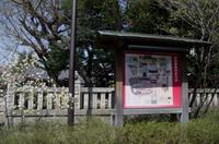 Spaziergang und Besuch des Tempels im Stadtteil Asakusa