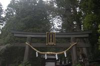 Besuch des Nikko Toschogu