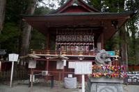 Besuch des Nikko Toschogu