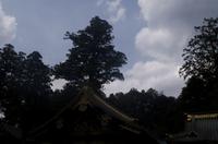 Besuch des Nikko Toschogu