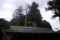 Besuch des Nikko Toschogu