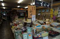 Besuch des Chuzenji-See und Kegon-Wasserfall