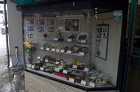 Besuch des Chuzenji-See und Kegon-Wasserfall