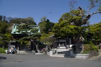 Besuch des Kamakura Hase Tempel