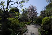 Besuch des Kamakura Hase Tempel