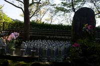 Besuch des Kamakura Hase Tempel